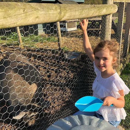 Willow Court Farm Studio South & Petting Farm, 8 Mins From Legoland & Windsor, 15 Mins From Lapland Uk エクステリア 写真