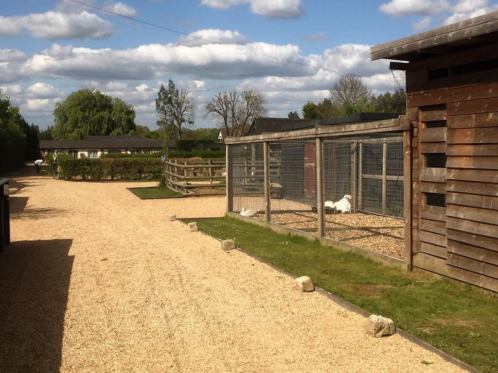 Willow Court Farm Studio South & Petting Farm, 8 Mins From Legoland & Windsor, 15 Mins From Lapland Uk エクステリア 写真