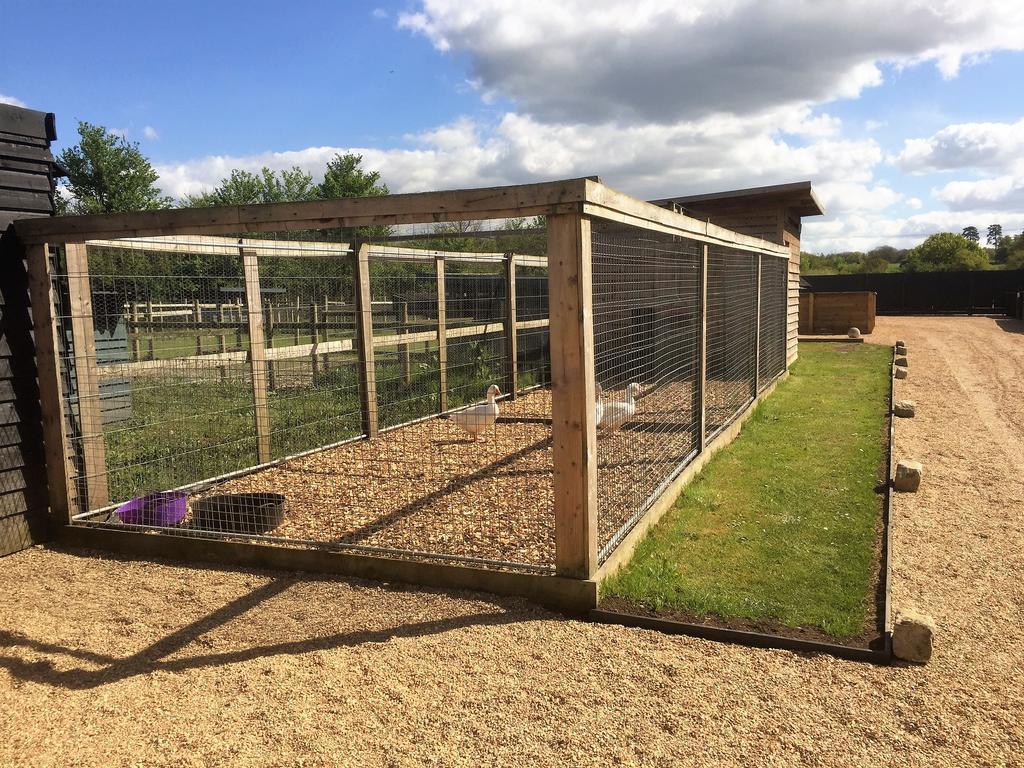 Willow Court Farm Studio South & Petting Farm, 8 Mins From Legoland & Windsor, 15 Mins From Lapland Uk エクステリア 写真