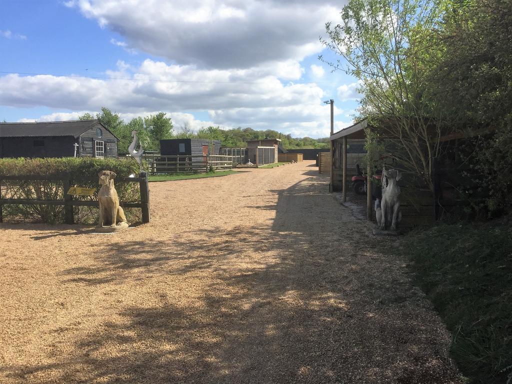 Willow Court Farm Studio South & Petting Farm, 8 Mins From Legoland & Windsor, 15 Mins From Lapland Uk エクステリア 写真