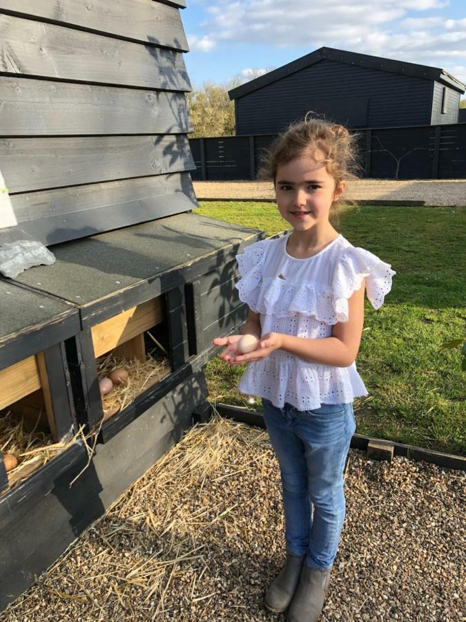 Willow Court Farm Studio South & Petting Farm, 8 Mins From Legoland & Windsor, 15 Mins From Lapland Uk エクステリア 写真