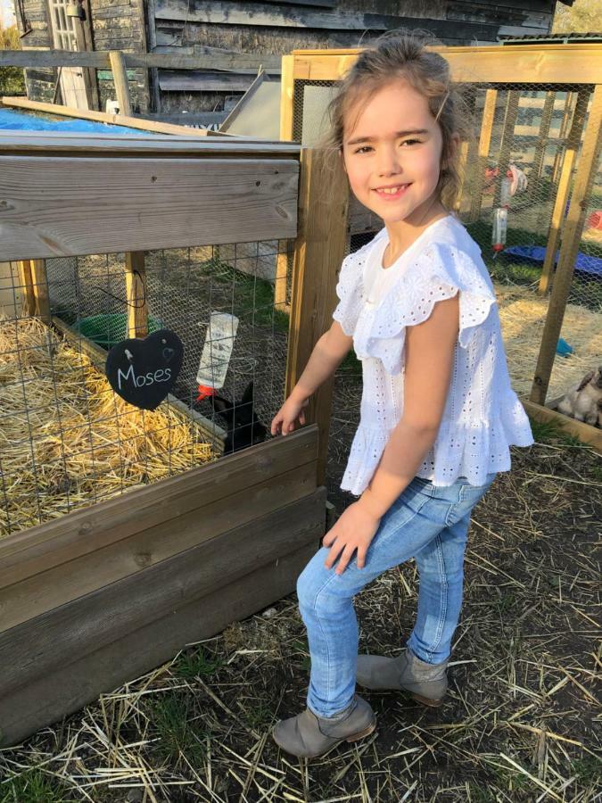 Willow Court Farm Studio South & Petting Farm, 8 Mins From Legoland & Windsor, 15 Mins From Lapland Uk エクステリア 写真