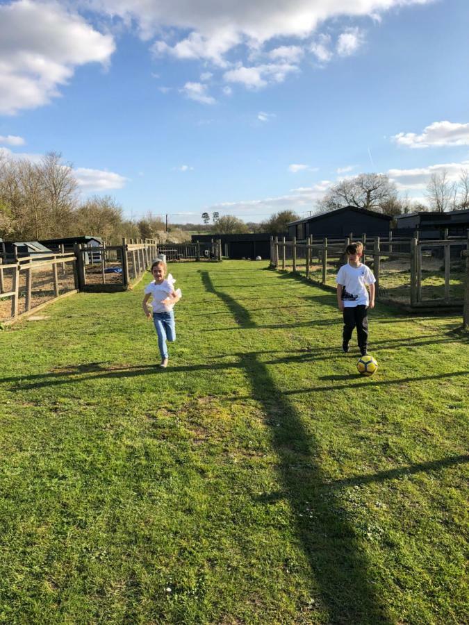 Willow Court Farm Studio South & Petting Farm, 8 Mins From Legoland & Windsor, 15 Mins From Lapland Uk エクステリア 写真